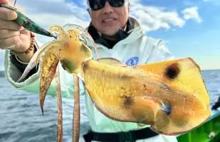 ＜東京湾・アオリイカ＞シャクって「ズドン」がたまらない！神奈川県金沢八景『野毛屋釣船店』