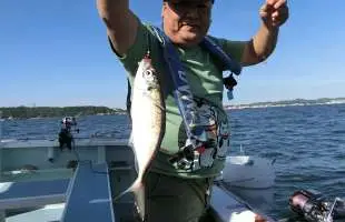 東京湾・走水沖の“ブランドアジ”を狙う！