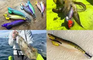 秋イカシーズン到来！東京湾のティップラン【営業担当・三浦のガチンコ釣行記】