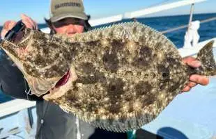 飯岡沖・寒ビラメ、竿頭11枚と絶好釣！千葉県飯岡港『幸丸』