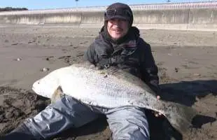旨い！釣れる！ブラボー宮崎！砂浜モンスター〝オオニベ〟も出現
