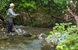 【渓流釣り】フライの魔術師が織りなす岩魚曼荼羅