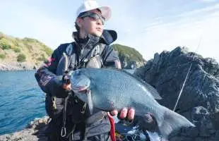 撒きエサワークで良型連発！城本尚史が初冬の日振島に挑む
