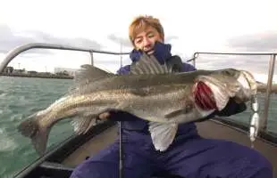 【徳島ビッグベイトシーバス】厳しい状況で出た、価値ある1本