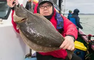 イワシ回遊の大原沖、座布団ビラメのチャンス到来！千葉県大原港『秀丸』