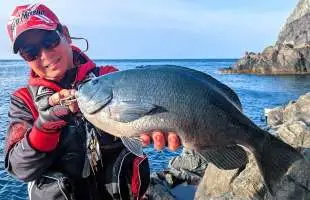 【シロモッチ】愛媛県中泊へ連続釣行、記録更新の良型が！？