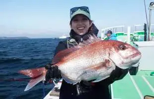 【乗っ込み間近】東京湾口のコマセマダイ好調！ 神奈川県松輪江奈港『あまさけや丸』
