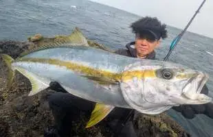 ロックショアで巨大ヒラマサを狙う！