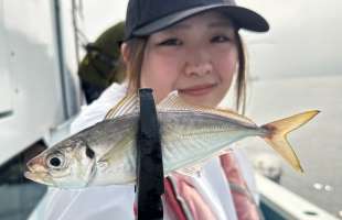 竿頭105匹！！ 東京湾LTアジは夏休みレジャーに最適！東京都 平和島『船宿 まる八』