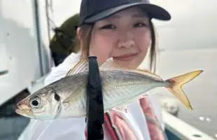 竿頭105匹！！ 東京湾LTアジは夏休みレジャーに最適！東京都 平和島『船宿 まる八』