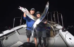 夢に挑もう！テンヤで狙う錦江湾の巨大タチウオ！