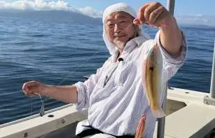 キュウセンは本当に美味しい？兵庫県明石沖で釣って食べるベラ料理の魅力