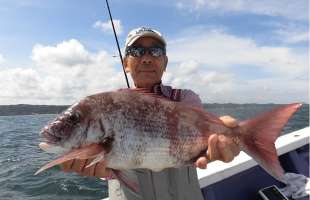 大原のマダイが夏の好機へ、ひとつテンヤ入門に最適！