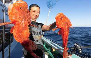 今年は型がイイ！　南房総“夏オニ”好スタート！！