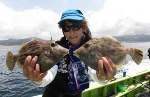 内房・勝山の“夏カワハギ”は猛暑の中でも元気一杯！