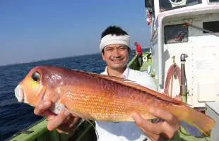 相模湾・茅ヶ崎沖、“海の貴婦人”アマダイをLTで！