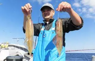 駿河湾・石花海のヤリイカ、今年は数型ともに期待大！