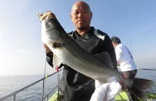 東京湾奥のシーバス、釣れ過ぎ警報発令中！！