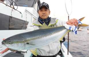 静岡県・網代沖にワラサが回遊！今年デカイ！！