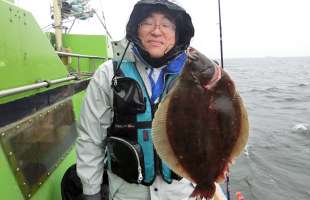 投げ釣り気分でのんびりフィッシング！東京湾マコガレイ