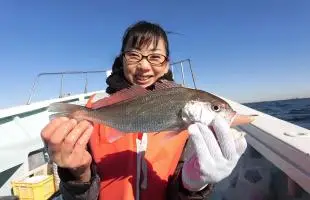 仲間で楽しむなら東京湾・金沢八景沖のイシモチ釣り！！