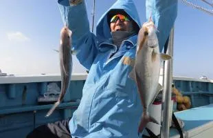 千葉・片貝沖で高級魚カンパチ、ハナダイが夢の競演！