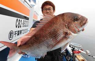 千葉県・富浦沖の乗っ込みマダイ、まだ間に合う！？