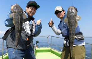 東京湾にマゴチの“旬”到来！今シーズンも期待大！