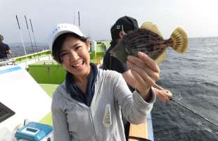 東京湾・剣崎沖で好調！夏のカワハギ！！