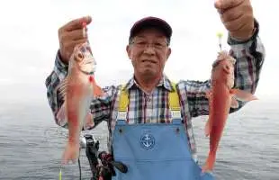 茨城・波崎沖で幻の高級魚・アカムツが驚愕の大爆釣！！