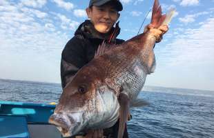 茨城県・日立沖の一つテンヤ・マダイ、数型ともに大満足！