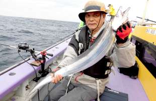 東京湾のタチウオ、神奈川県・走水沖で“秋祭り”開催中！