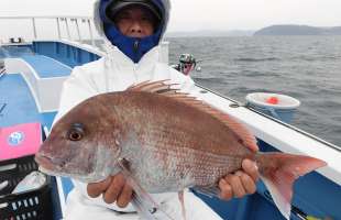 千葉県・内房、富浦沖で秋のコマセマダイが本格始動！