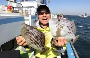 東京湾・竹岡沖のカワハギ絶好調！誰もが“尺”のチャンス！