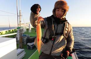 小田原のヤリイカ釣りが最盛期！良型が多点掛け！
