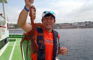 神奈川県・湘南、江の島沖の“夏ダコ”好スタート！