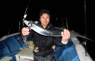 駿河湾、夜釣りのタチウオ、今シーズンはまだまだ好調！