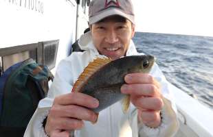 千葉県・千田沖で味が自慢のイサキ、今期も絶好釣!!