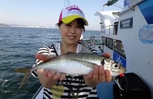 狙え大アジ！東京湾・走水沖の“ブランドアジ”