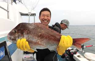 新潟県・直江津沖のマダイ、乗っ込み本番！！