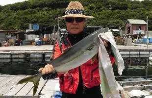 兵庫県・家島諸島の海上釣り堀！ハズレ無し！