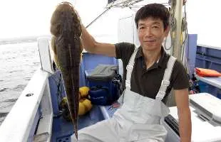 神奈川県・金田沖のヒラメ、マゴチがライトタックルで好調！！