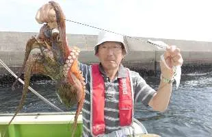 夏の風物詩、東京湾・“江戸前”マダコを堪能！！