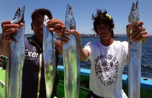 東京湾・餌で狙うタチウオとアジのリレー釣り開始！！