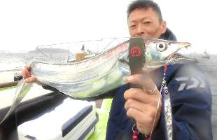 東京湾のタチウオ、近年稀に見る魚影の濃さ！！