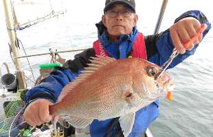 岡山県・琴浦港発！下津井沖のマダイ、絶好調！！