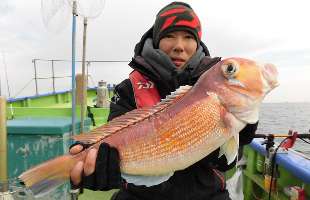 相模湾のアマダイ、いよいよ大物シーズン突入！