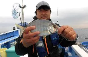 千葉県・洲崎沖“カイワリ五目”、 美味しい魚が目白押し！