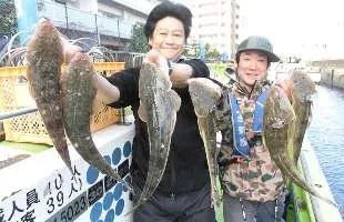 東京湾・江戸前のマゴチ、生きエビ餌で好調に開幕！