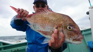 静岡県御前崎港・伊達丸「御前崎マダイ乗っ込み中、タイラバでナナマル（70cm）オーバーを狙え！」